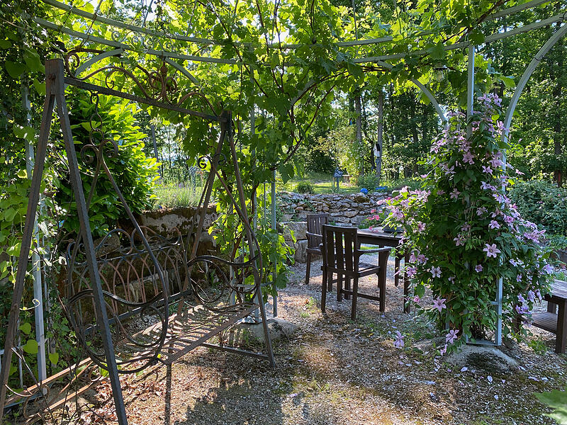 Besonderer Garten in Hardt Besonderer Garten in Hardt