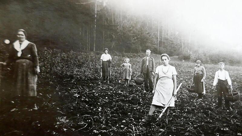 Kartoffelernte im Herbst 1942 in den Eierstauden Richtung Moggast.Forchheim & Fränkische Schweiz