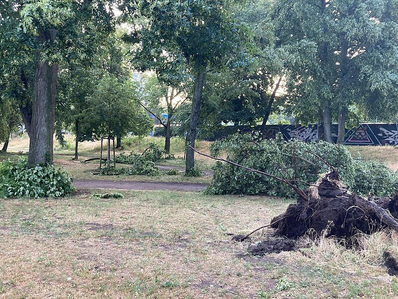 Sturmschäden im Luitpoldhain