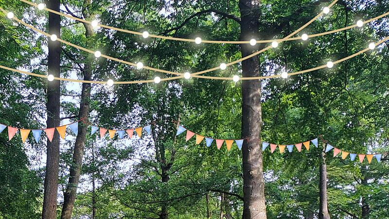 Auch für eine stimmungsvolle Beleuchtung im Stadtpark soll mittels Spenden gesorgt werden. Auch für eine stimmungsvolle Beleuchtung im Stadtpark soll mittels Spenden gesorgt werden.