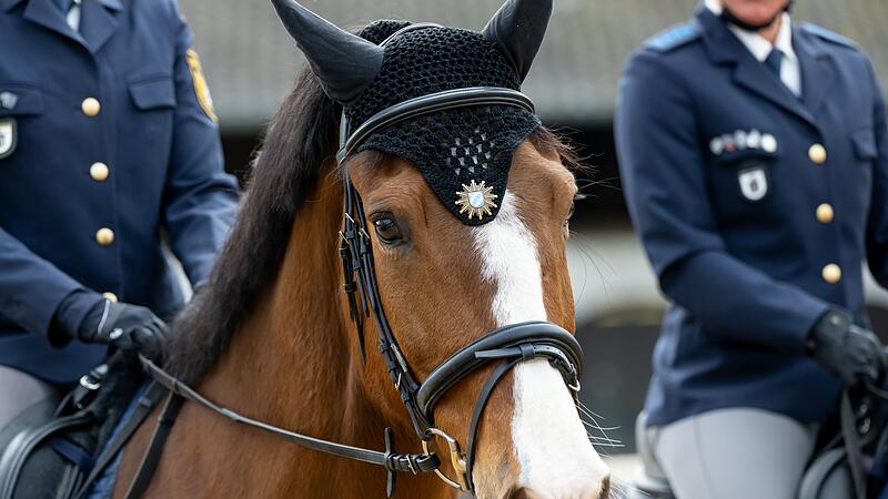Bayerns Polizei-Reiterstaffel