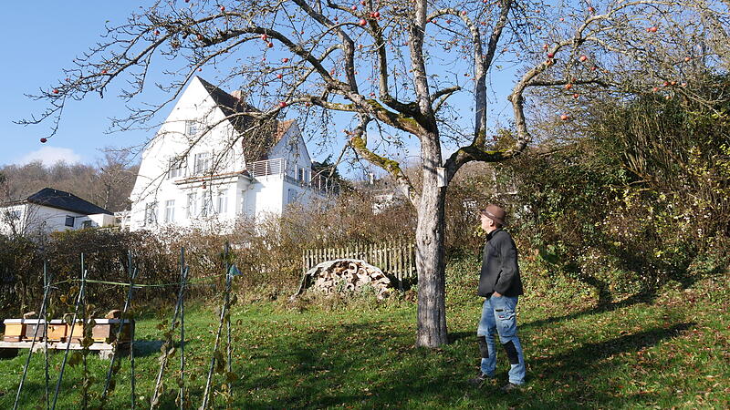 Obstbaumpfleger Stefano Pettinella vor seinem Apfelbaum.