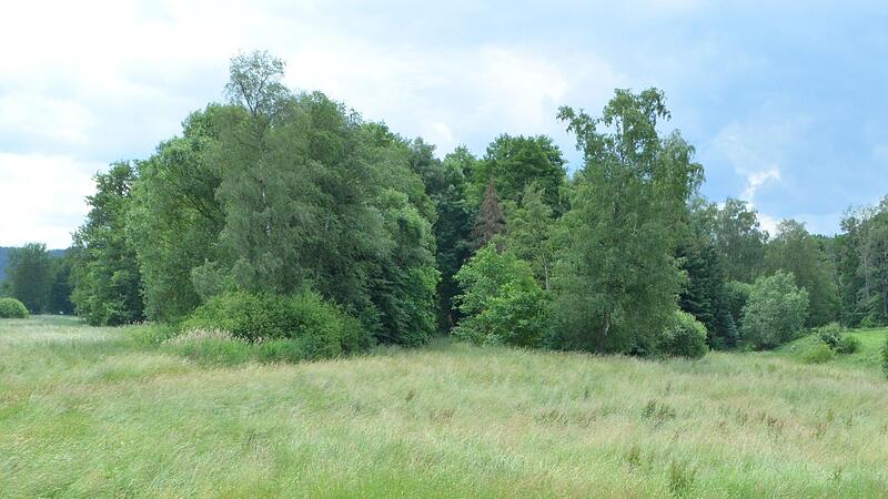 Wo sich einmal der Schnackensee erstreckte, stand einst eine Burg. Die Stelle ist heute dicht überwuchert. Wo sich einmal der Schnackensee erstreckte, stand einst eine Burg. Die Stelle ist heute dicht überwuchert.