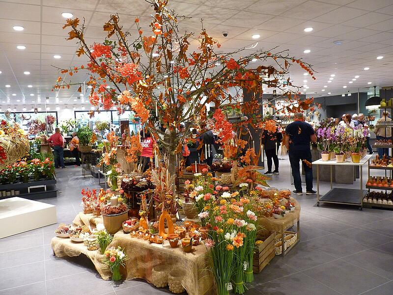 Ein Rundgang in Fotos: Das Angebot in den neuen Gesch&auml;ftsr&auml;umen von Blumen Lechner in H&ouml;chstadt