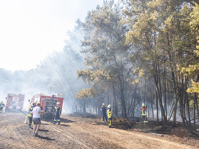 Feldbrand breitet sich zu Waldbrand aus