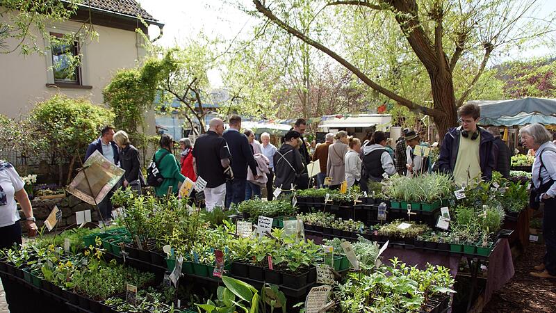 Gartenbesitzer k&ouml;nnen beim Ostermarkt in Pr&ouml;lsdorf aus dem Vollen sch&ouml;pfen, mehrere G&auml;rtner bieten Bl&uuml;h-, Gem&uuml;se- und Salatpflanzen an. Ein au&szlig;ergew&ouml;hnliches Sortiment hat die Pr&ouml;lsdorferin Freya in ihrem Hof. Hier gibt es auch Seltenes wie Schl&uuml;s...
