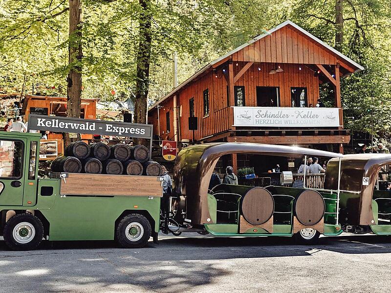 Der Kellerwald-Express rollt in den Sommermonaten durch den Kellerwald. Zur Winterzeit könnte er bald auf dem Forchheimer Weihnachtsmarkt zu Einsatz kommen.