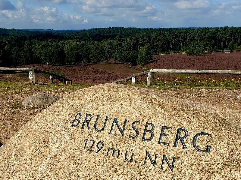 Immerhin 129 Meter hoch ist der Brunsberg.2023 Wanderinnen auf dem  Heidschnuckenweg