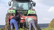Bei der Ernte der Krenstangen in Biengarten sind vereinte Kräfte gefragt. Andreas Schmidt steuert den Traktor.