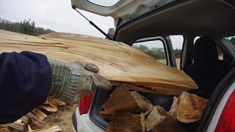 Zwei Holzdiebe wurden am Freitag in Wiesentheid auf frischer Tat ertappt. (Symbolfoto)