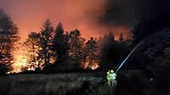 Waldbrand am Chiemsee Waldbrand am Chiemsee