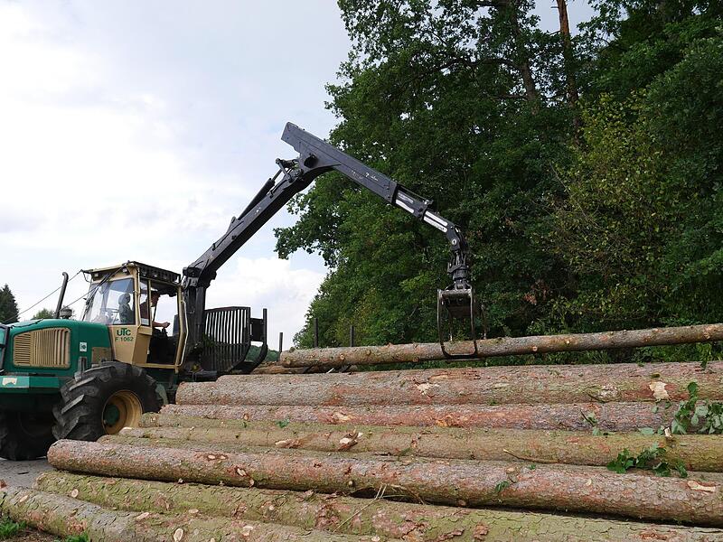 Das Holz kommt meist aus der Region nach Hallerndorf.Forchheim & Fr&auml;nkische Schweiz