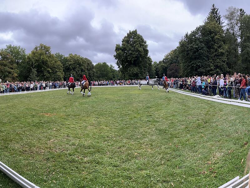 F&uuml;r die Reiterquadrille wurde ein Viereck im Luitpoldpark abgesteckt.