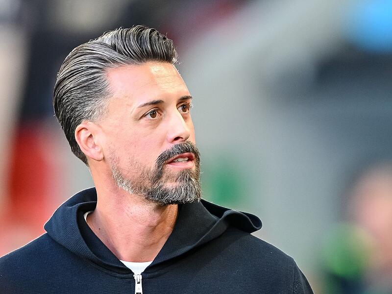 Sandro Wagner