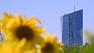 Europ&auml;ische Zentralbank