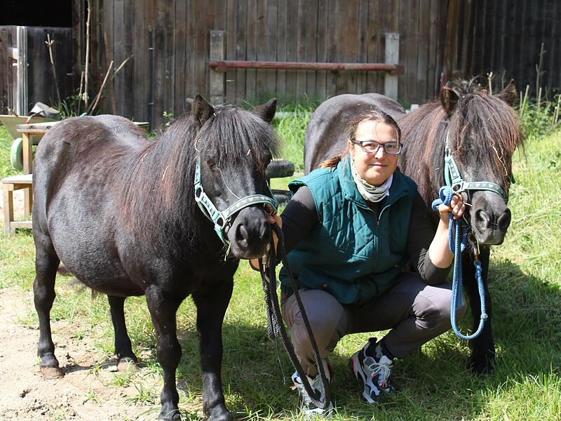 Je nach Patient kommen im Reit- und Therapiezentrum Thurn auch die Therapie-Ponys Joy und Bella zum Einsatz.Forchheim & Fränkische Schweiz Je nach Patient kommen im Reit- und Therapiezentrum Thurn auch die Therapie-Ponys Joy und Bella zum Einsatz.Forchheim & Fränkische Schweiz