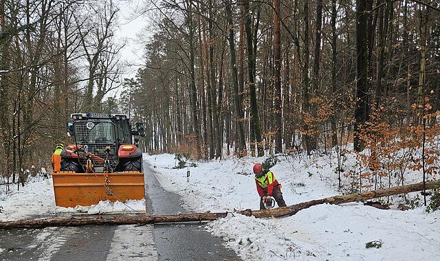 Sperrung SerlbachForchheim & Fränkische Schweiz Nach dem starken Schneefall hatte die Stadt die Straße zwischen Serlbach und Kellerwald sperren lassen – wegen Schneebruchgefahr. Bis Mittwochmittag war die Stadtförsterei dabei, die Schäden und Gefahren zu beseitigen.