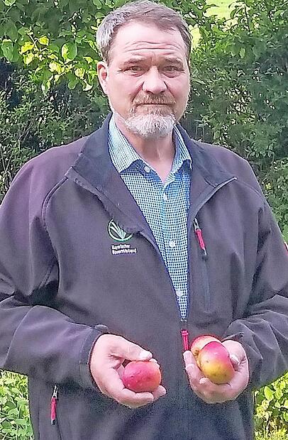 In den Händen hält Michael Bienlein Äpfel der Sorte Rheinischer Winterrambur, die er im Herbst geerntet hat. Sie sind immer noch frisch.
