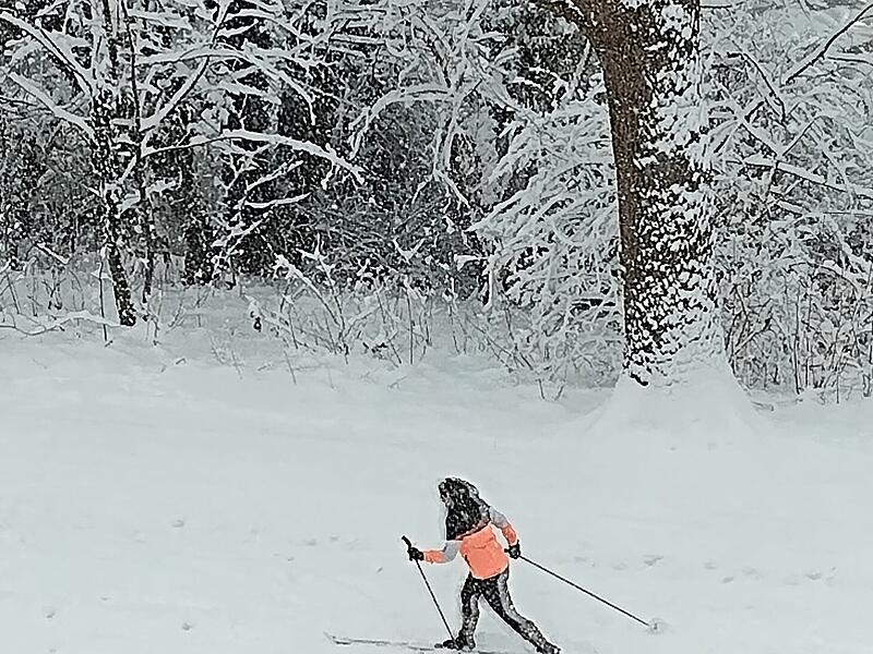 Bei den Schneemassen k&ouml;nnen sogar die Ski ausgepackt werden! Wie hier am Adenauerufer.