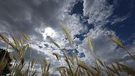 Wetter in Bayern