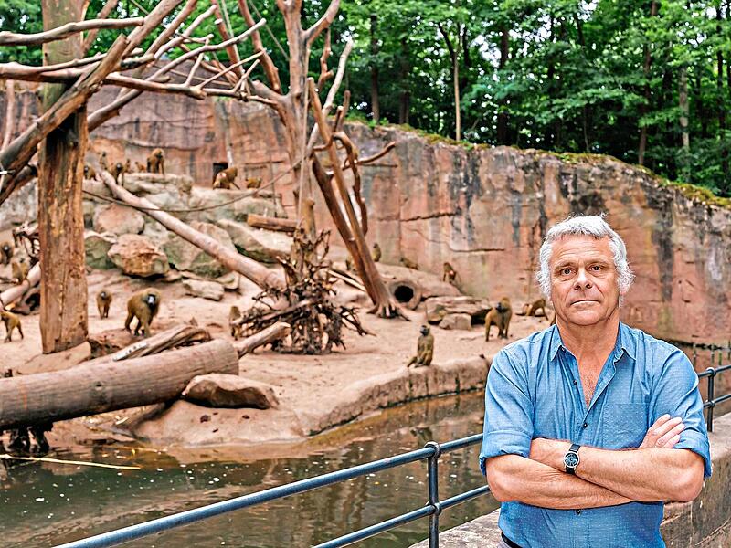 Dag Encke, Direktor des Tiergarten N&uuml;rnberg, vor dem Paviangehege.Daniel Karmann, dpa