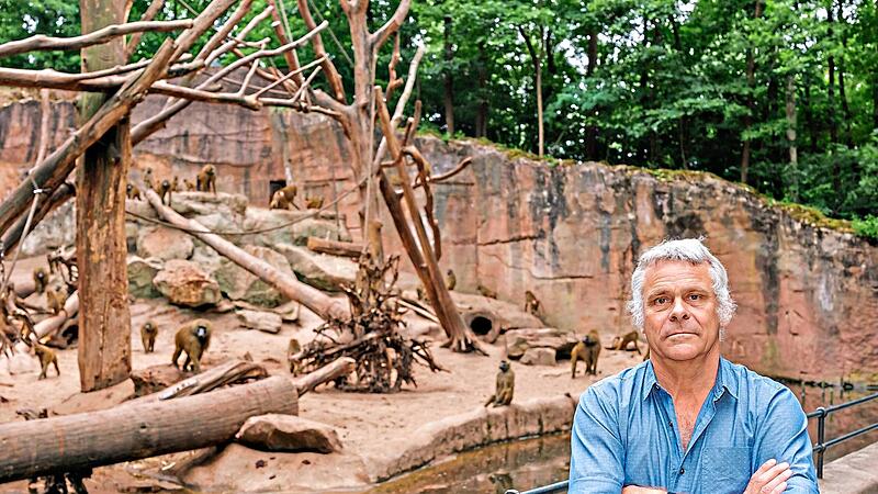 Dag Encke, Direktor des Tiergarten N&uuml;rnberg, vor dem Paviangehege.Daniel Karmann, dpa