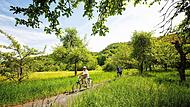 Landschaft, Spaß und Sport: Der Landkreis lädt unter anderem zu E-Biken ins Wiesenttal ein. TZ Fränkische Schweiz/Florian Trykowski