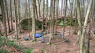Das Röhrensystem mit „Kessel“ im Wald bei Klosterlangheim wird zur Ausbildung von Jagdhunden mit einem lebenden Fuchs genutzt.