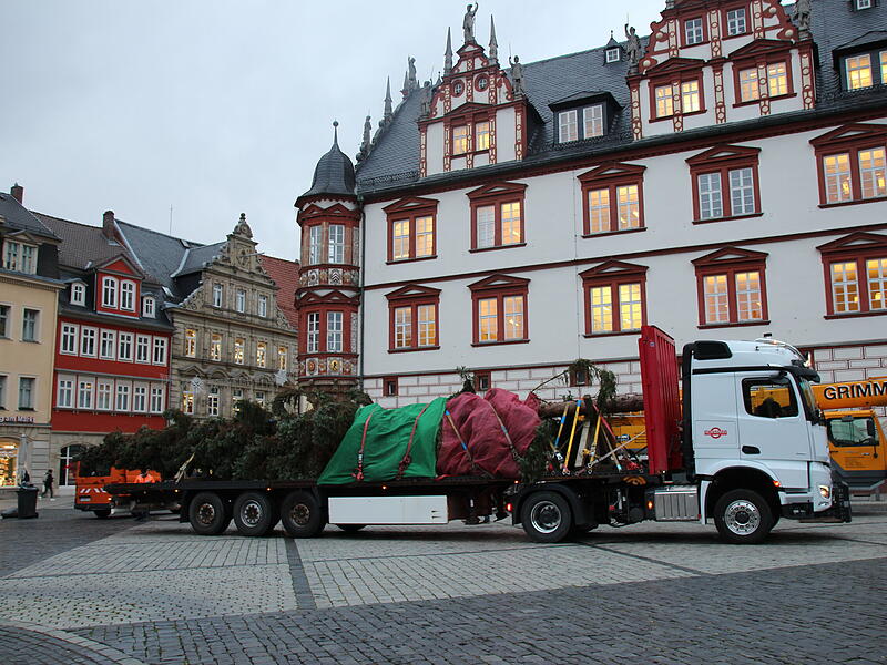 Der Coburger Weihnachtsbaum 2023 ist da