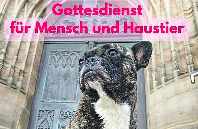 Die Beziehungen zwischen Haustieren und ihren Menschen steht bei der kirchlichen Feier am 23. August in St. Georg im Mittelpunkt. Grafiken: Gregor Wierciochin Die Beziehungen zwischen Haustieren und ihren Menschen steht bei der kirchlichen Feier am 23. August in St. Georg im Mittelpunkt. Grafiken: Gregor Wierciochin