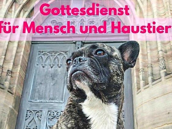 Die Beziehungen zwischen Haustieren und ihren Menschen steht bei der kirchlichen Feier am 23. August in St. Georg im Mittelpunkt. Grafiken: Gregor Wierciochin