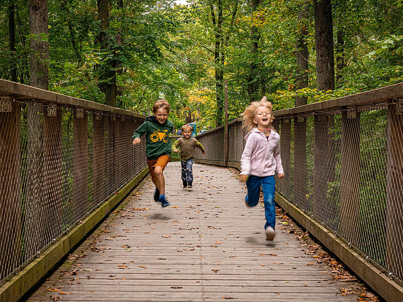 Kinder auf Baumwipfelpfad Steigerwald