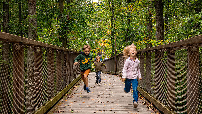 Kinder auf Baumwipfelpfad Steigerwald