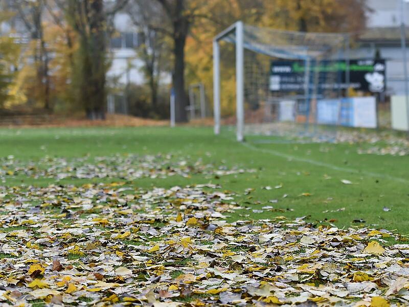 Durch Blätter, die verwittern, kann Humus entstehen. Der sorgt für nasse Plätze.