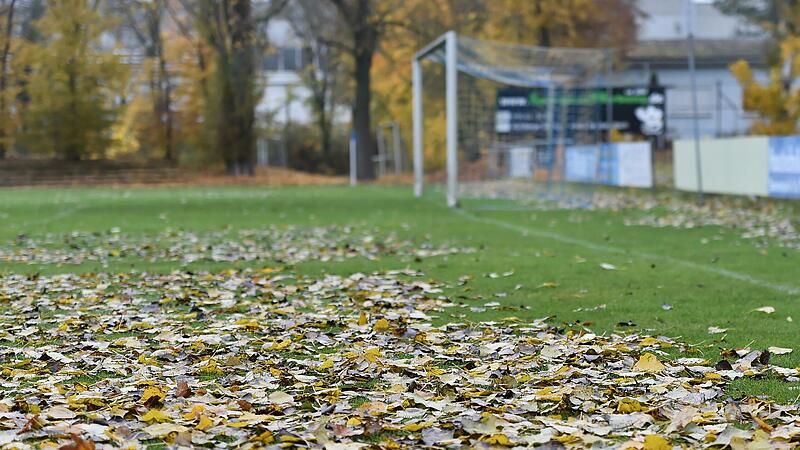 Durch Bl&auml;tter, die verwittern, kann Humus entstehen. Der sorgt f&uuml;r nasse Pl&auml;tze.