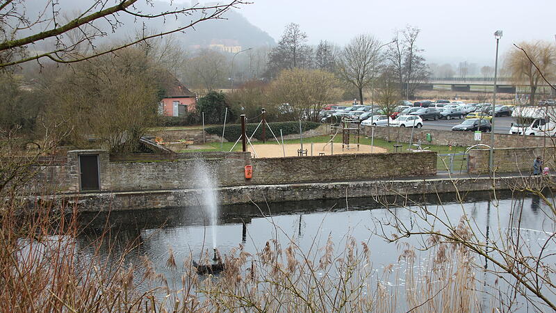 Weiher Bleichrasen Hammelburg