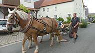 Mit dem Pferdegespann von Manfred Müller wurde der Kirchweihbaum transportiert.