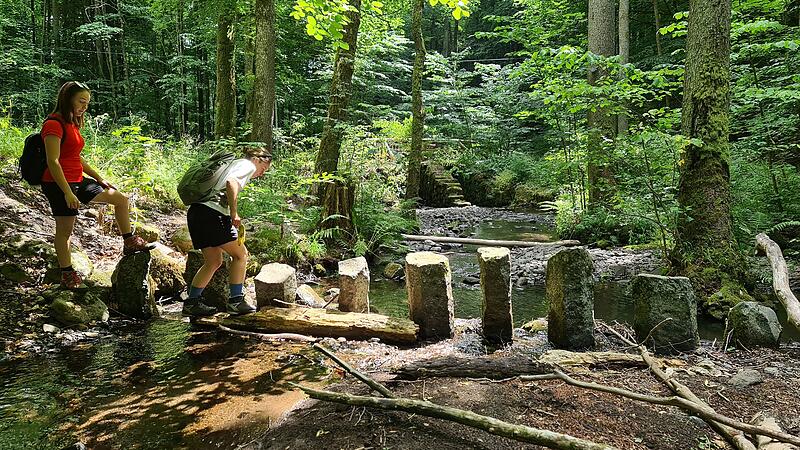 Julian Gick: &bdquo;Blaue Gl&uuml;cksorte in der Rh&ouml;n&ldquo;