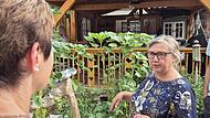 Gabi Braun beantwortet jede Frage der Teilnehmer rund um ihren Garten. Gabi Braun beantwortet jede Frage der Teilnehmer rund um ihren Garten.