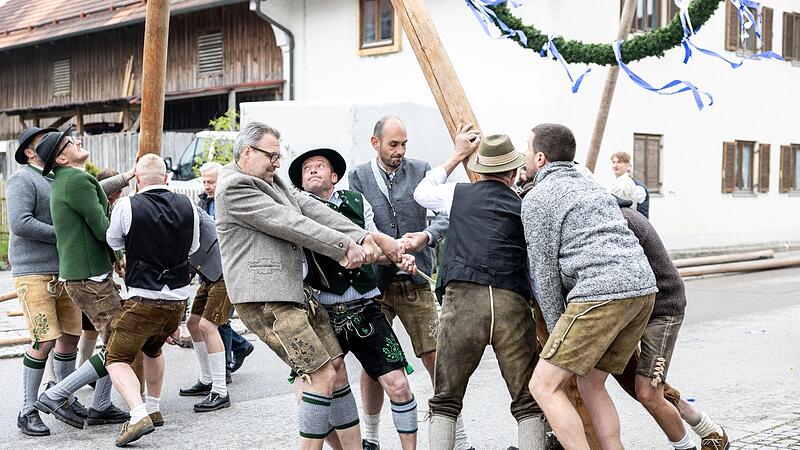 Traditionelles Maibaumaufstellen