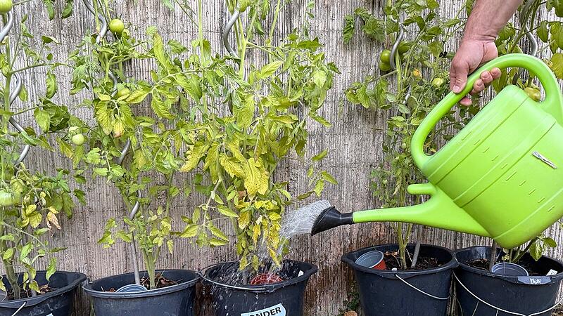 Gie&szlig;en im Garten