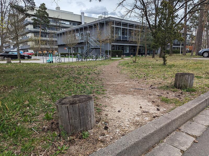 Einer von vielen: Trampelpfad an der Egerlandstra&szlig;e des Uni-S&uuml;dgel&auml;ndes in Erlangen