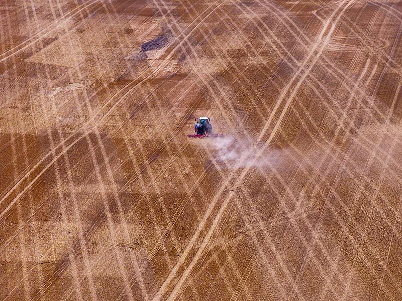 Trockenheit in der Landwirtschaft