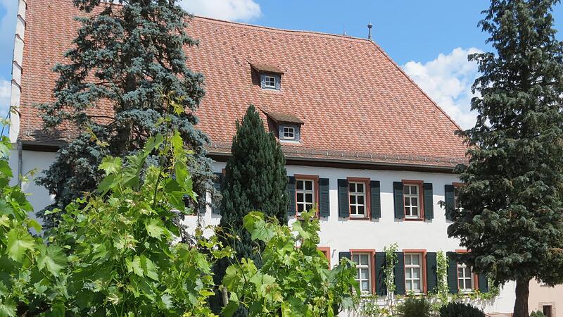 Blick auf das Museum „Terra Triassica“.