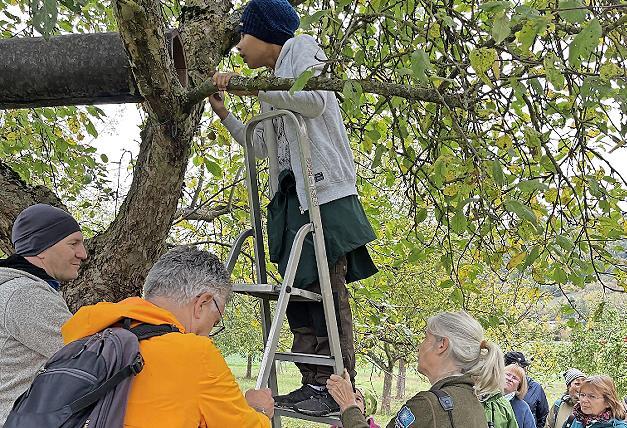 Naturpark-Rangerin Martina Faber zeigt auf den BN-Wiesen in Untererthal, wie und wo der Steinkauz lebt. Wer wollte, durfte in eine der Röhren schauen und einen Blick auf einen Kauz werfen. Naturpark-Rangerin Martina Faber zeigt auf den BN-Wiesen in Untererthal, wie und wo der Steinkauz lebt. Wer wollte, durfte in eine der Röhren schauen und einen Blick auf einen Kauz werfen.