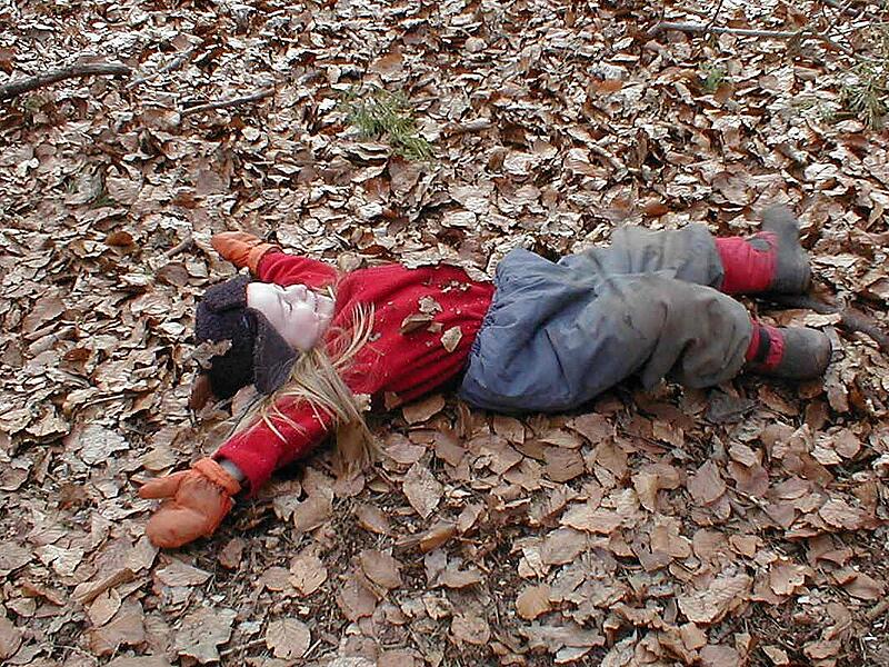 Bad Kissingen: 25 Jahre Waldkindergarten Fliegenpilz Im Waldkindergarten dürfen Kinder die Natur mit allen Sinnen genießen