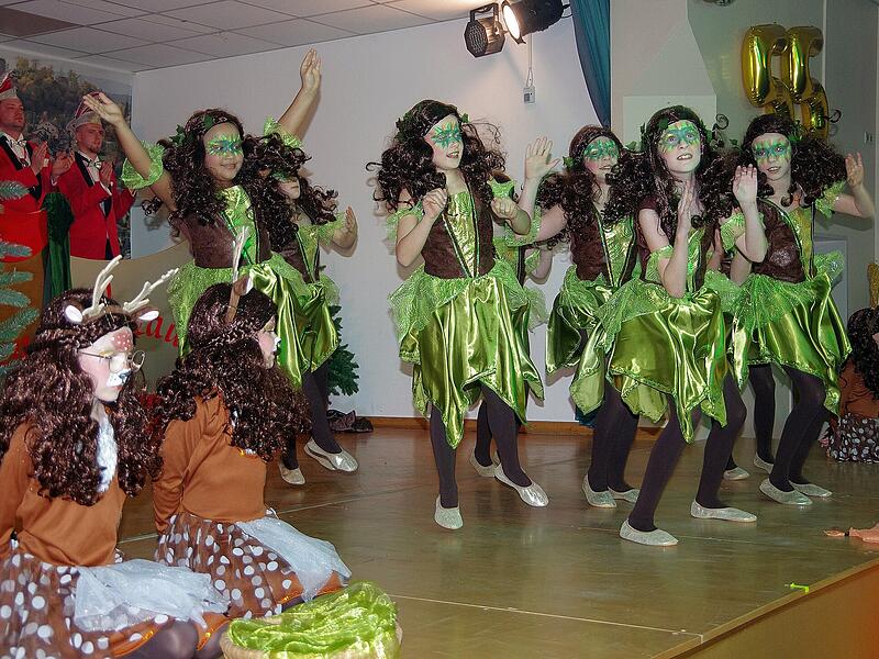 Die sch&ouml;nsten Bilder vom Fasching der Fidelia Reiterswiesen
