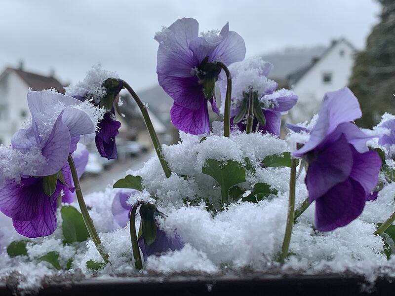 Spätwinter zur Osterzeit Spätwinter zur Osterzeit