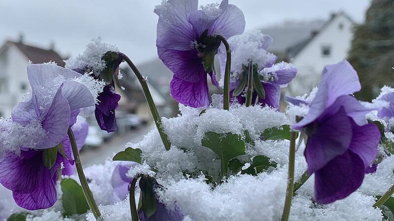 Sp&auml;twinter zur Osterzeit