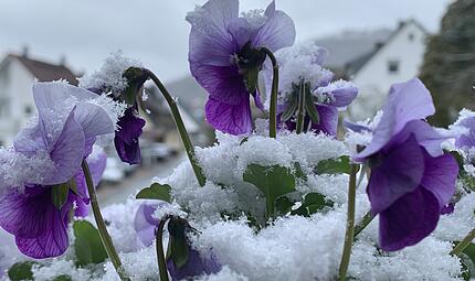 Sp&auml;twinter zur Osterzeit